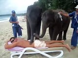 Do you know about elephant massages