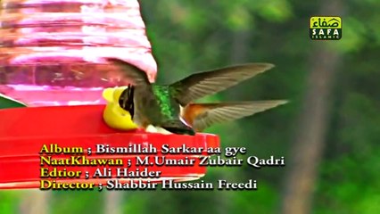 Awal Hamd Sana Elahi Umair Zubair Qadri