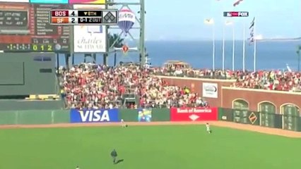 Top Baseball Catches (MLB)