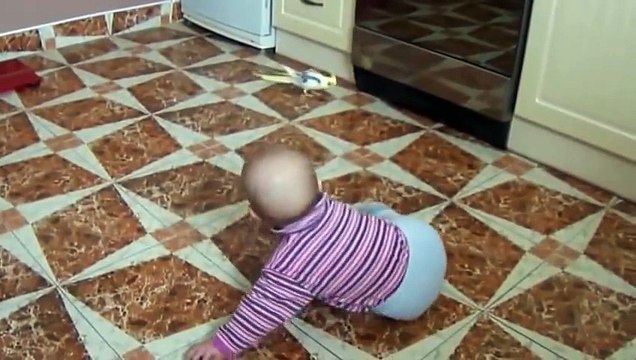 Попугай уходит от ребенка!