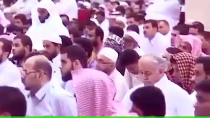 VID-20151206-WA0002.mp4