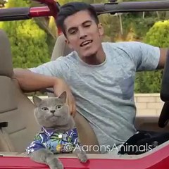 بہت ہی اعلی وڈیو ھے۔ ضرور دیکھیں