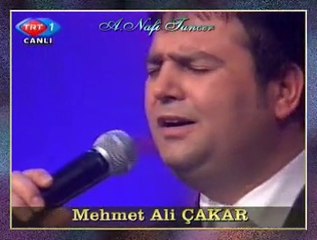 M.Ali ÇAKAR-Hastane Önünde İncir Ağacı