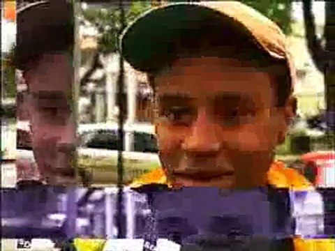 Gramática Portuguesa - Numerais e Pronomes