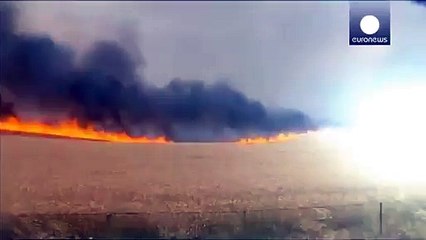 Avustralyada orman yangınları can aldı