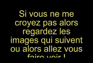 SPOILS au Q : épisode 1 : le réveil de la force