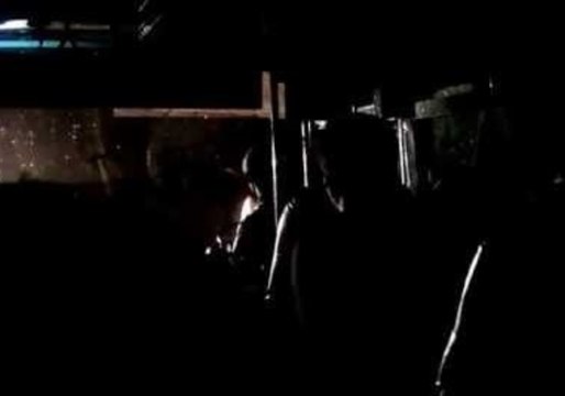 Mother Elephant Confronts Bus While Herd Crosses Road