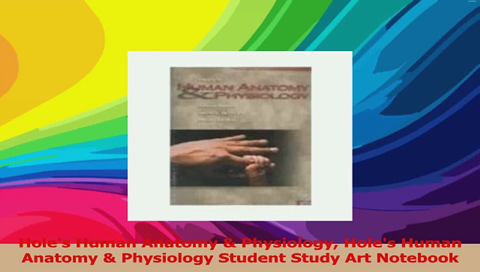 ⁣Holes Human Anatomy  Physiology Holes Human Anatomy  Physiology Student Study Art Download