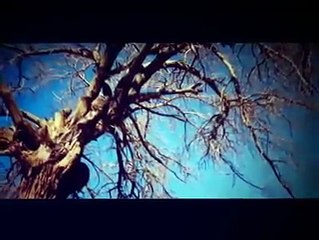 Devran Arhat - Ez Helandim