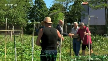 Italie : la Vénétie (Par avion)