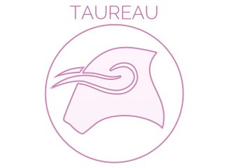 TAUREAU : Il est temps de prendre des contacts et d'effectuer des démarches au travail