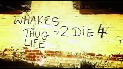 The Numbers Gang Of South Africa By The Actor Ross Kemp Awesome Documenta