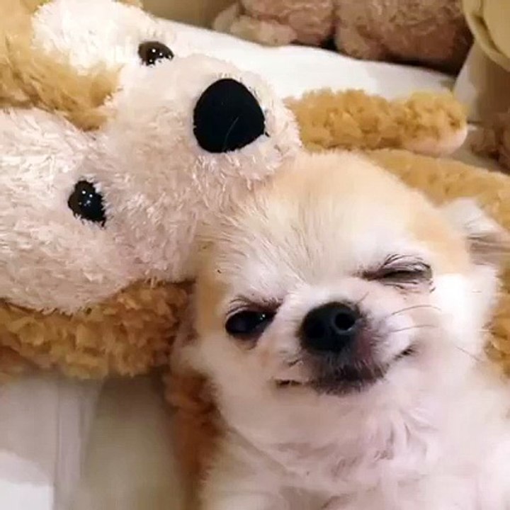 Current Mood