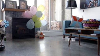 Dog on a Roomba - Easter Edition!!!