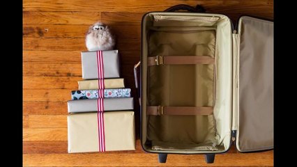 How I Pack  - How to Pack Gifts When You Travel
