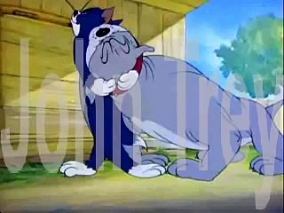 توم و جيري 1944 يضع على الكلب الجزء 22
