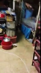 whatsapp viral mms Hostel Girls Drunk    whatsapp  whatsapp