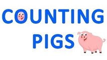 Counting Pigs