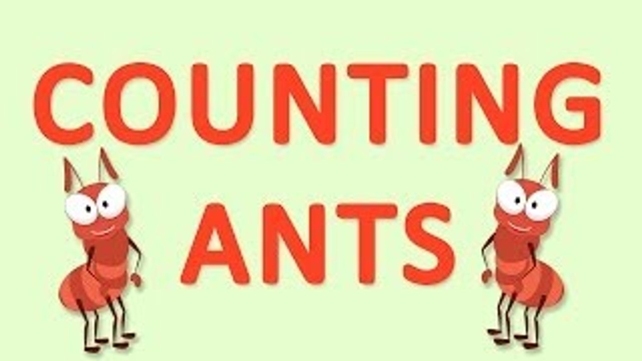 Counting Ants