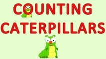 Counting Caterpillars