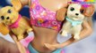 Barbie Swim and Race Pups Playset / Barbie Zawody Pływackie Piesków - Mattel - X8404 - Recenzja
