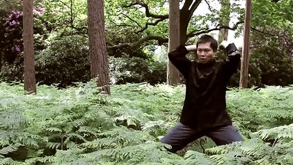 Forma del Puño de Hung Gar