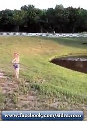 El pato contra-ataca