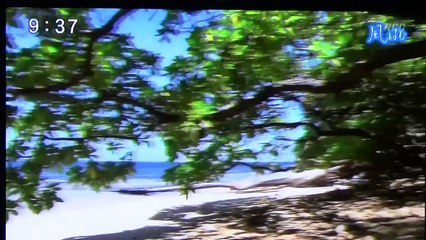 戦後70年「慰霊の旅」・・・パラオから両陛下が帰国(15/04/10)