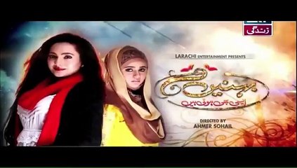 Behnein Aisi Bhi Hoti Hain Episode 346 P2 ARY ZINDAGI DRAMA