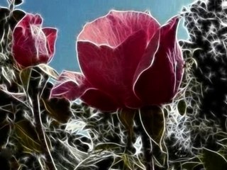 ΕΧΩ ΑΝΑΓΚΗ ΝΑ ΣΟΥ ΣΤΕΙΛΟ ΕΝΑ ΛΕΥΚΟ ΤΡΙΑΝΤΑΦΥΛΛΟ