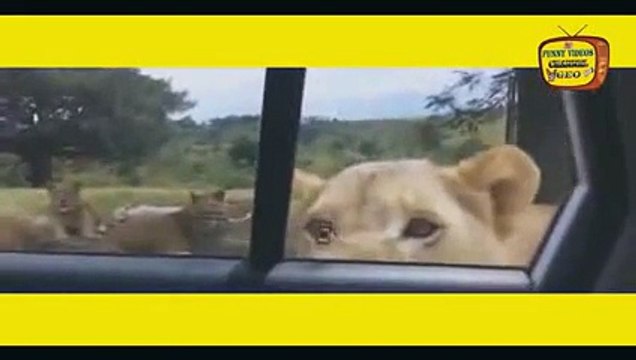 New 2016 Αστεία βίντεο Δείτε όλοι Πολύ γέλιο βίντεο top 10 very fails_3