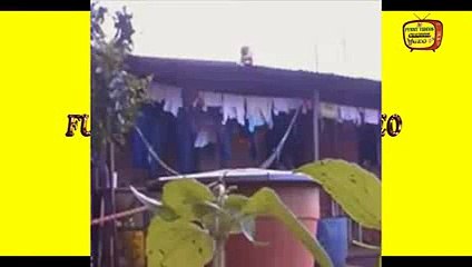 New 2016 Αστεία βίντεο Πολύ γέλιο   top 10