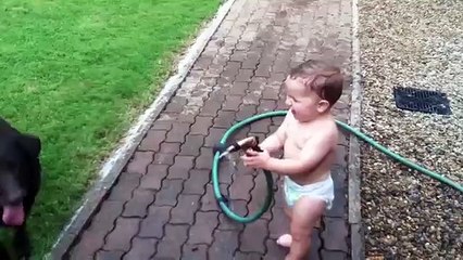 Gatos Y Perros Jugando Con Bebes ★ (Videos Muy Buenos!!)