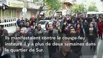 Descargar video: Deux manifestants tués par balle lors de heurts avec la police en Turquie