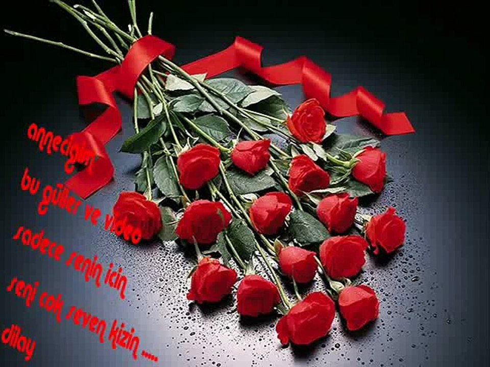 YILDIZ TEZCAN annecigim