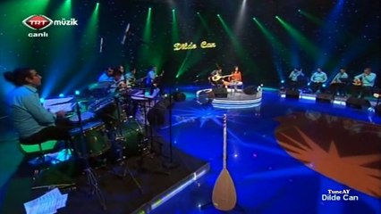 ismail altunsaray-bir çift turna gördüm