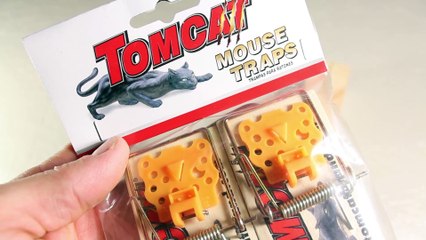 Make a Mousetrap Gun That Shoots!