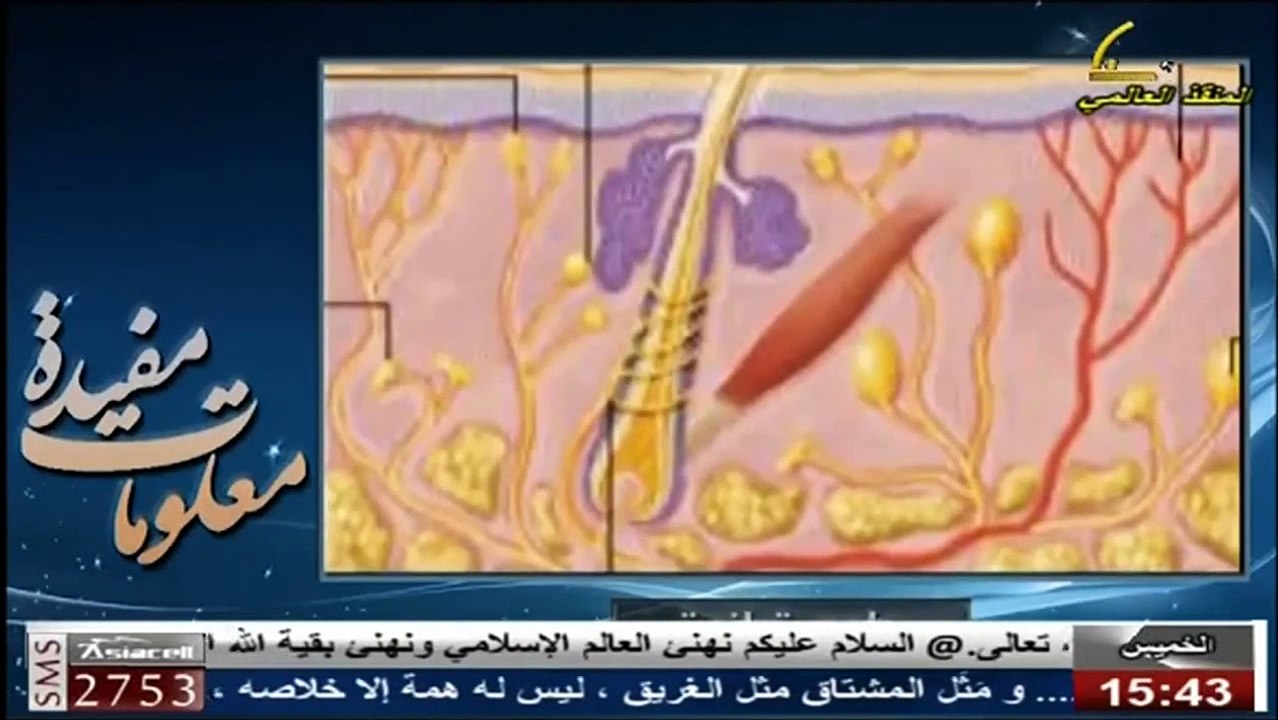 برنامج معلومات مفيدة  - الجلد