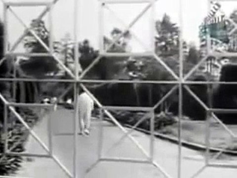 Locura de terror peliculas mexicanas completas 2014