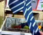 Aprenda dar um nó de gravata perfeito em 30 segundos