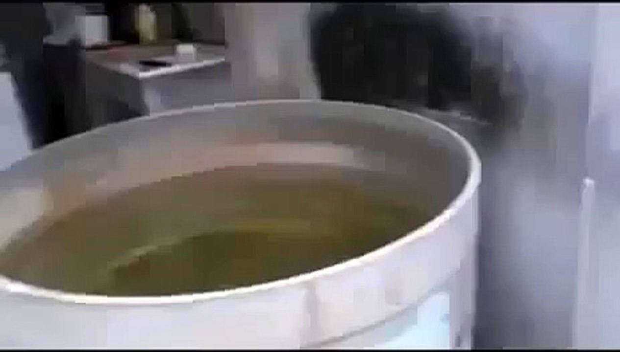 ★GATO LOCO INTENTA ESCAPAR DEL AGUA (sin exito, jaja) Los Gatos Más Divertidos - Gatos Chi