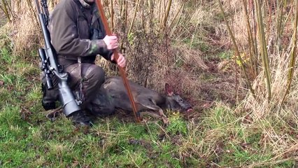 The Shooting Show roe doe culling and the Heym SR30