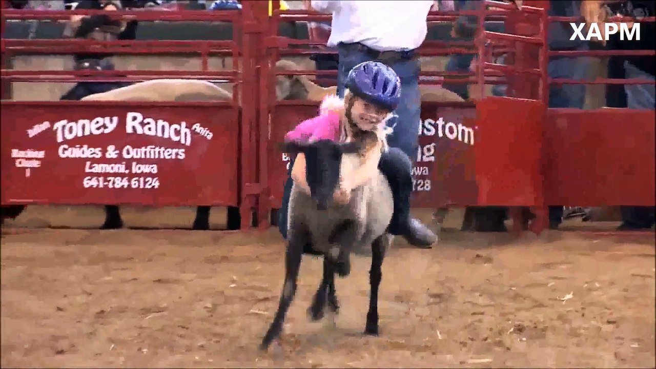 Competencia de niños montando ovejas en Iowa Usa.