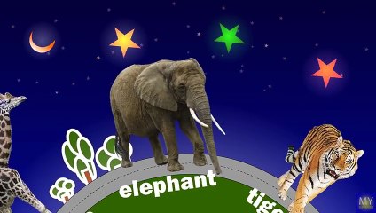 Car for children. Learn wild animals in English! Cartoons for babies 1 year