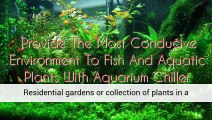 Aquarium Plants Carbondoser Regulator Planted Aquarium Aquarium Plants Uk
