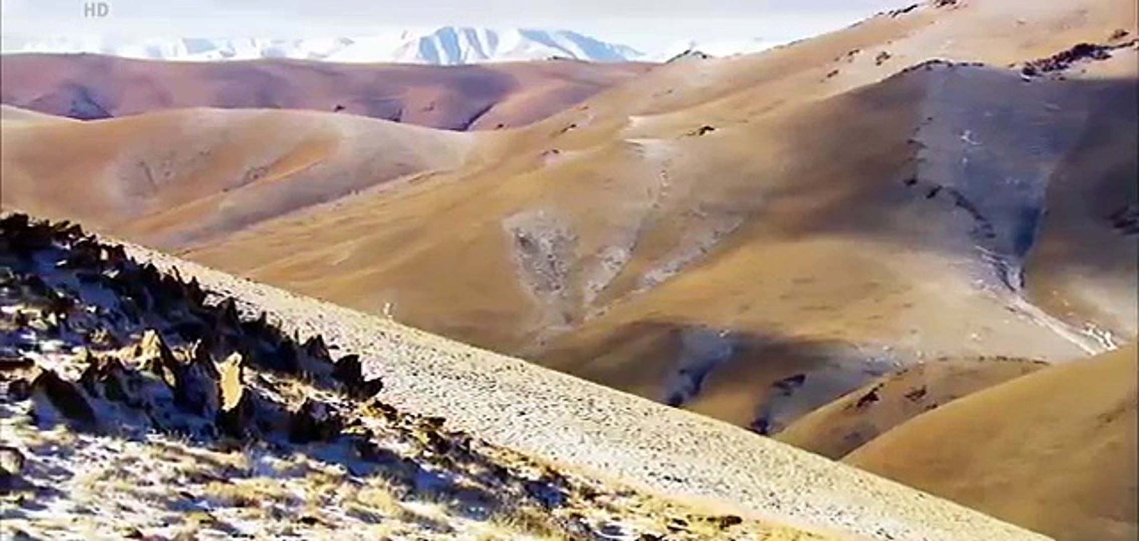 ⁣Animals Planet 2015 - Discovery Animals - Wild Russia Siberia