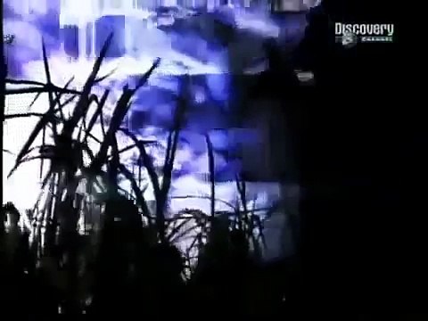 Serial killer - Luis Garavito The Beast over 100 victims Serial Killer Documentary