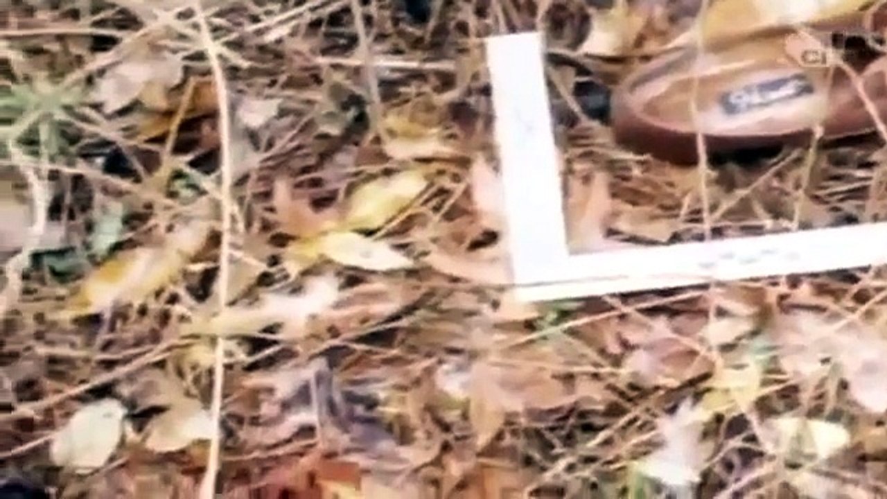 Murder of Ruby Lewis and Halima Jones - Full Crime Documentary
