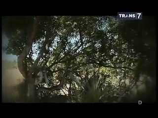 [FULL] Mister Tukul Jalan Jalan 23 Agustus 2015 - Pesugihan Pantai Selatan