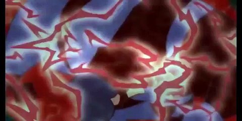 Kim Possible  Stop Team Go- Good Shego and Cocoa Moo